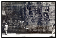 White Doves of Peace