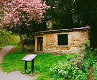 The Counts House.jpg