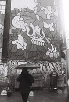 The wall under Rain.JPG