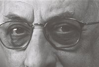 Eyes like an Male Cat.JPG