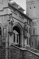 Stella Niagara Steps