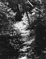 Sequenzes I-16 (Puddles of Sunshine)