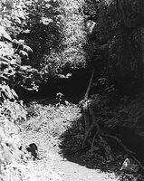 Sequenzes I-17 (Puddles of Sunshine)