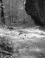 Sequenzes I-19 (Puddles of Sunshine)