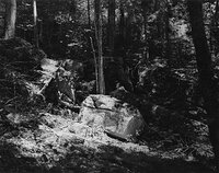 Sequenzes I-21 (Puddles of Sunshine)