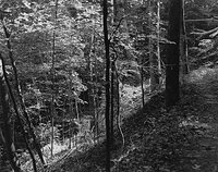 Sequenzes I-22 (Puddles of Sunshine)