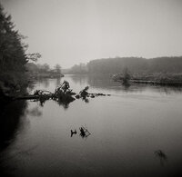 Bogaschiel River 2.jpg