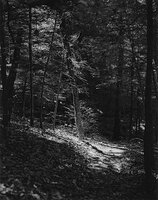 Sequenze I-27 (Puddles of Sunshine)