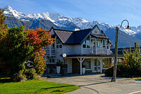 Don't overlook the Cat