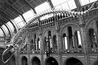 There is Hope (Our story)