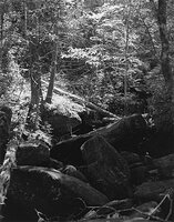 Sequenze I-28 (Puddles of Sunshine)