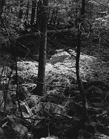 Sequenze I-30 (Puddles of Sunshine)