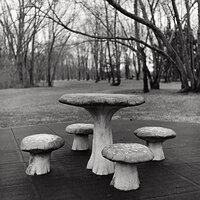 Fungiform Table and Toadstools