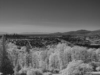 Burnaby Mountain 1 Vancouver BC