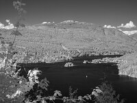 Burnaby Mountain Vancouver BC 2