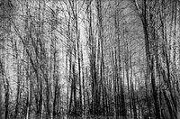Multiple exposure