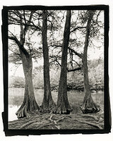 The Four Sisters
