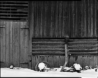 Barn I