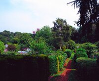Walk through Durham city, allotments, 11th July 2025