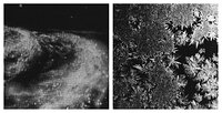 TV82-12 Unattainable and Unspoken - From the Galaxy to my Window