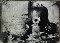 Flower & Pumpkins to