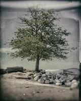 Wet plate simulation