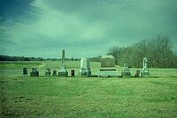 Family Plot