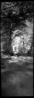Ghost on the C&O Canal