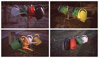 Ballet of the watering cans