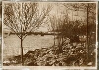 coast line van dyke low res.jpg
