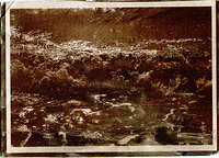 wave van dyke6.jpg
