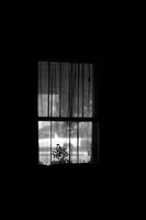 Window Of Perception