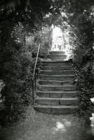Staircase, Gardens, Oatlands Plantation