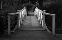 Chinese Bridge