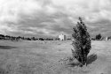Slade Green fisheye