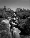 Stream