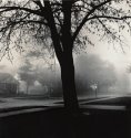 Clearing Morning Fog