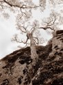 Hanging on
