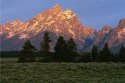 Grand Teton Sunrise