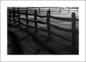Fence, Campbell's Farm