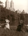 Barney and Charley go to Central Park