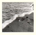 beach abstract 03