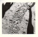 beach abstract 06