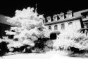 Infrared Image