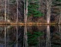 Reflection, Young's Pond