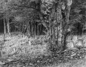 Graveyard