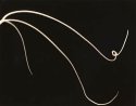 Tendrils