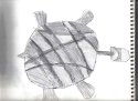 Turtle(sketch)