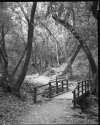Enchanted Trail, Nojqui Park