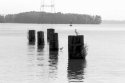Piers